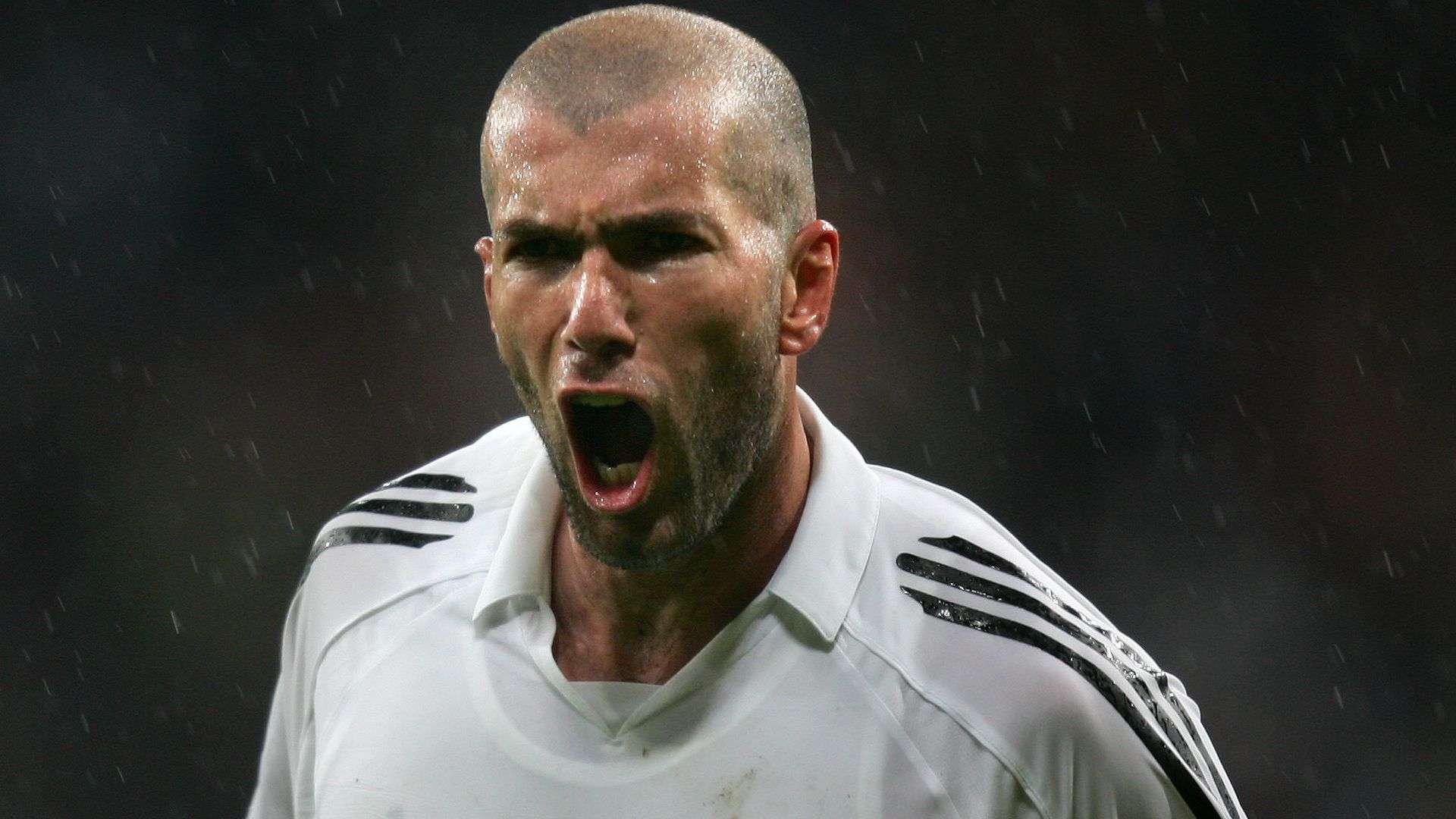 卡斯爾近期 卡斯爾近期